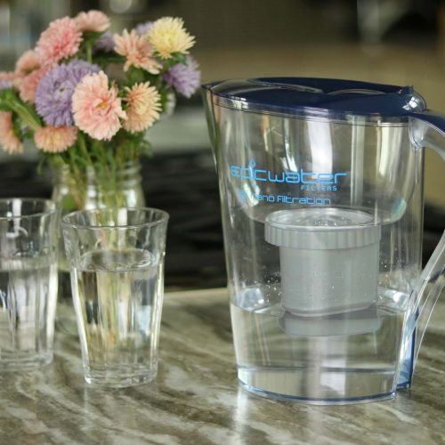 Nano Pitcher Removes Bacteria PFAS Epic Water Filters USA 7013